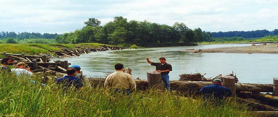 ピュージェットサウンド国立河口プログラム 統合された流域と雨水計画