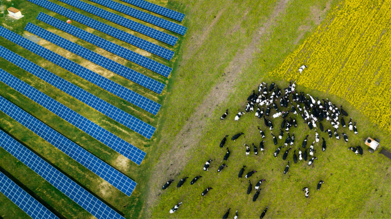 Rural Clean Energy Innovation - Washington State Department Of Commerce